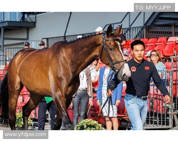 我国马术选手奥运资格赛晋级